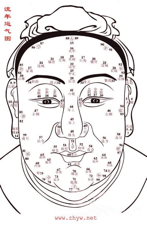 40-50歲面相|1到100歲，面相流年氣運圖教你如何看自己的面相